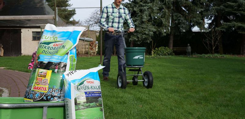Gartengestaltung Pflege